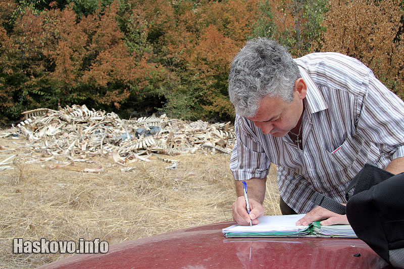 Инспекцията