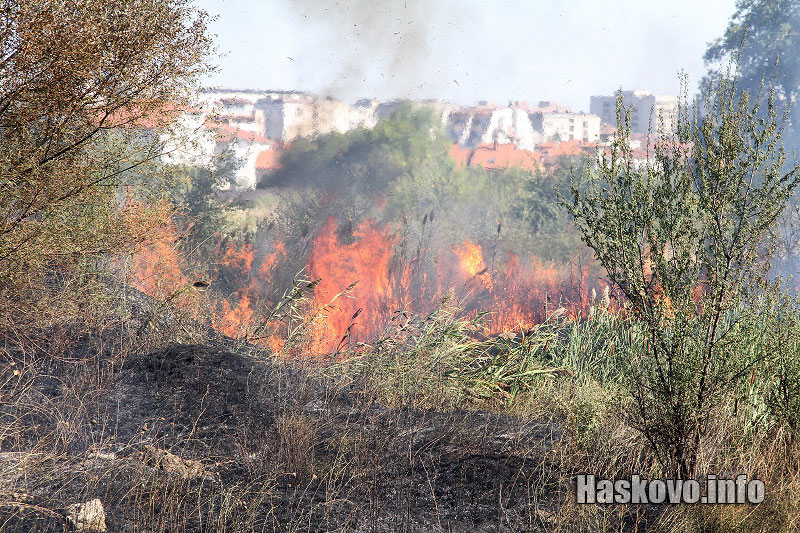 Пожарът Пожарът