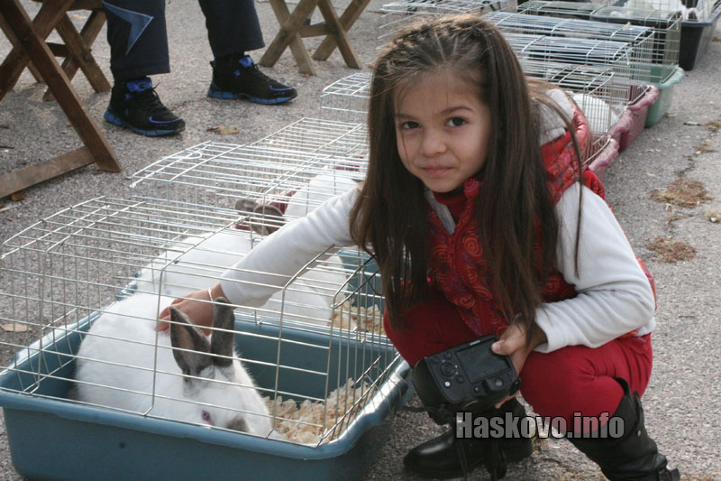 Изложбата Изложбата