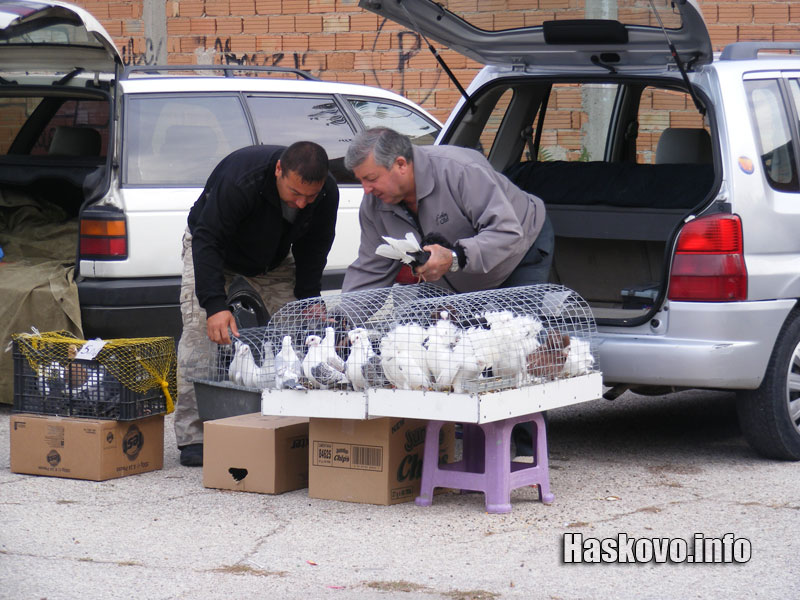 Изложбата Изложбата