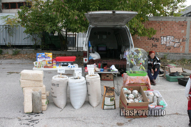 Изложбата Изложбата