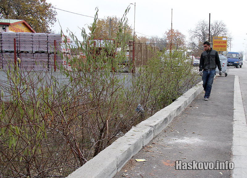 Мястото, където е открит трупа Мястото, където е открит трупа