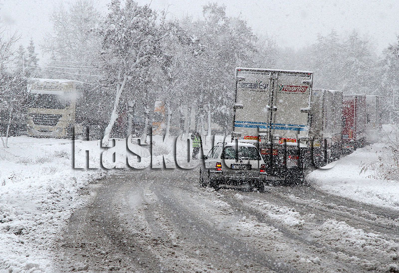 Опашка от тирове Опашка от тирове