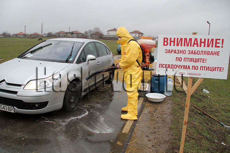Звиница