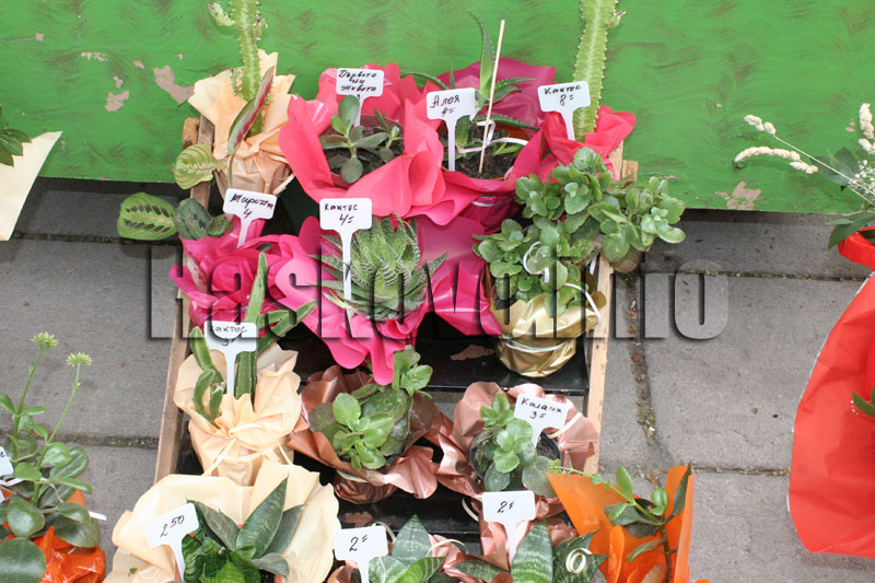 Базарът Базарът