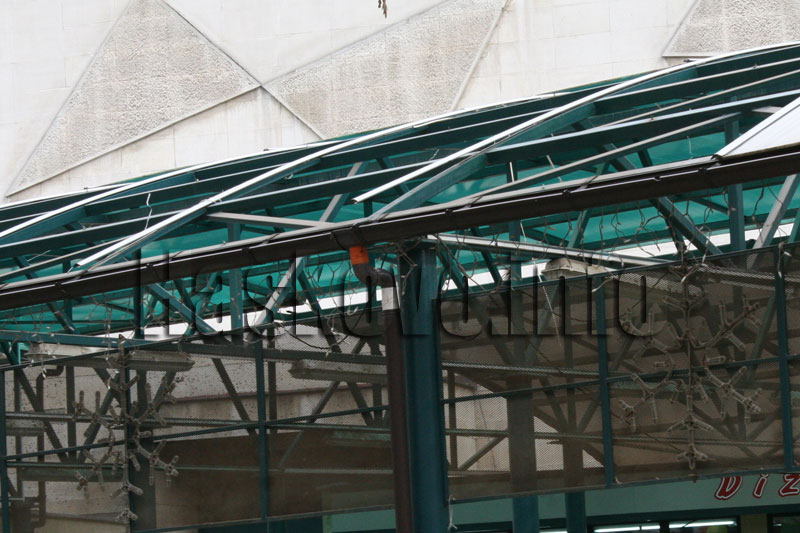 Виелицата Виелицата