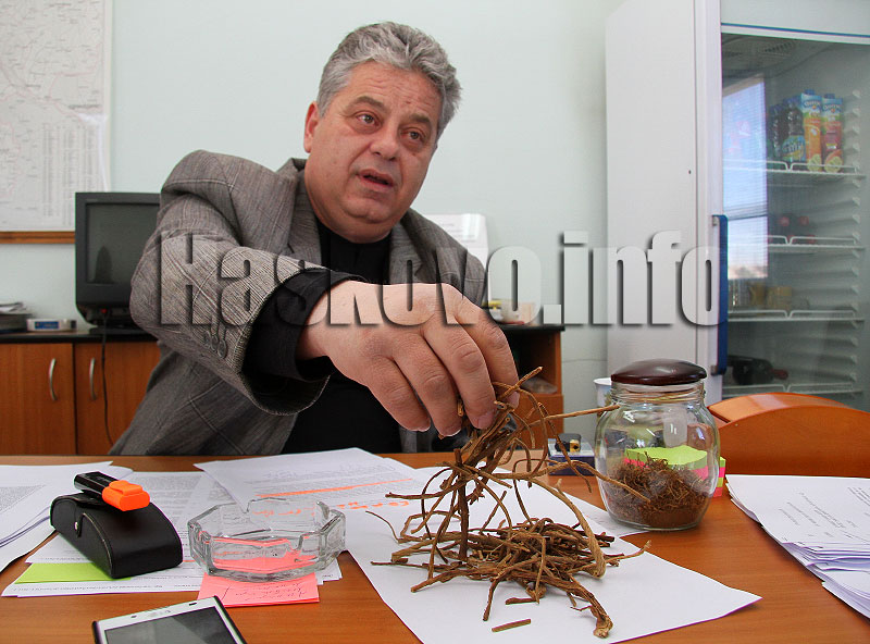 Балкан Табак