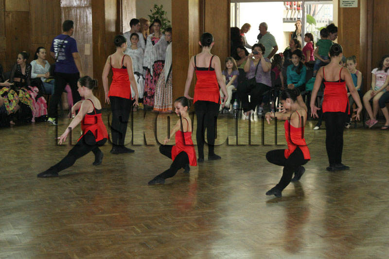 Фестивалът Фестивалът