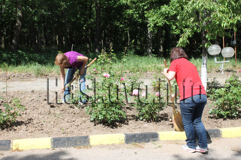 Домът Домът