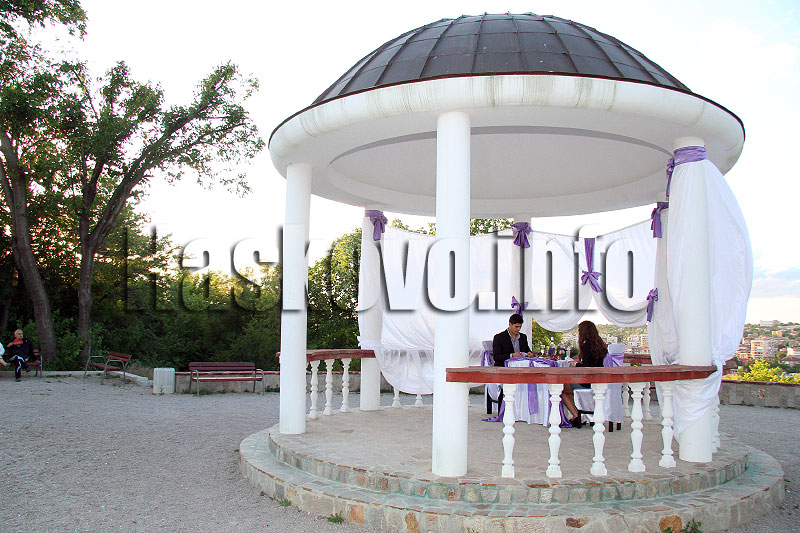 Изненадата Изненадата