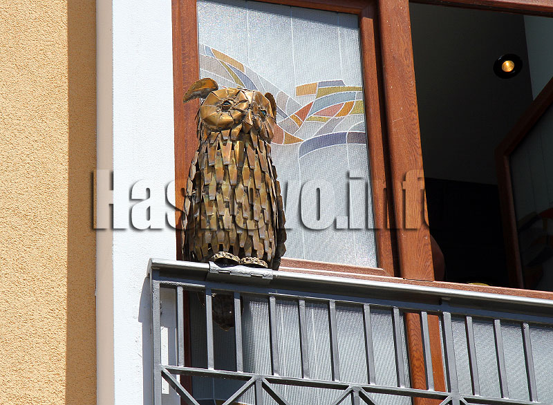 Бухал Бухал