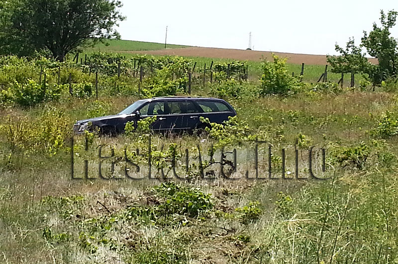 Снимка: Георги Даскалов