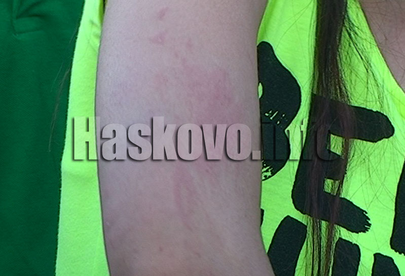 Бунтът Бунтът