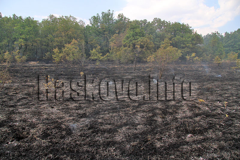 Пожар Пожар