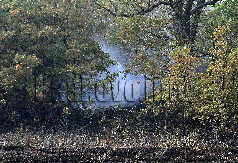 Пожар Пожар