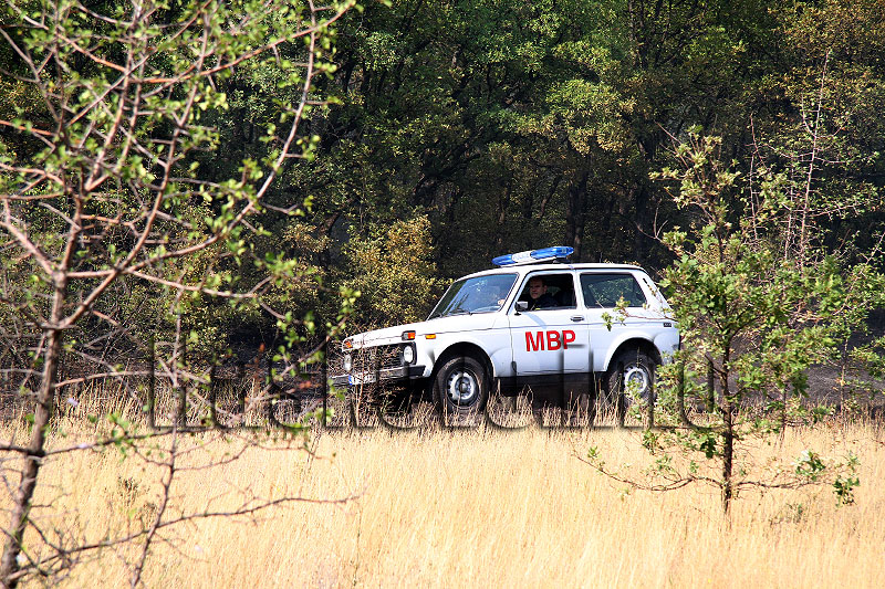 Пожар Пожар