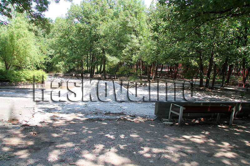 Новите обитатели Новите обитатели