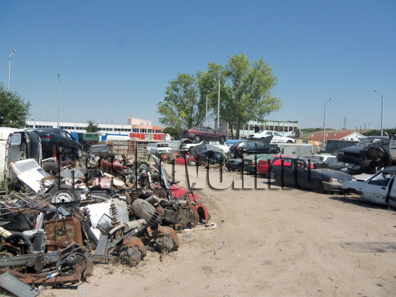 Автоморгата Автоморгата