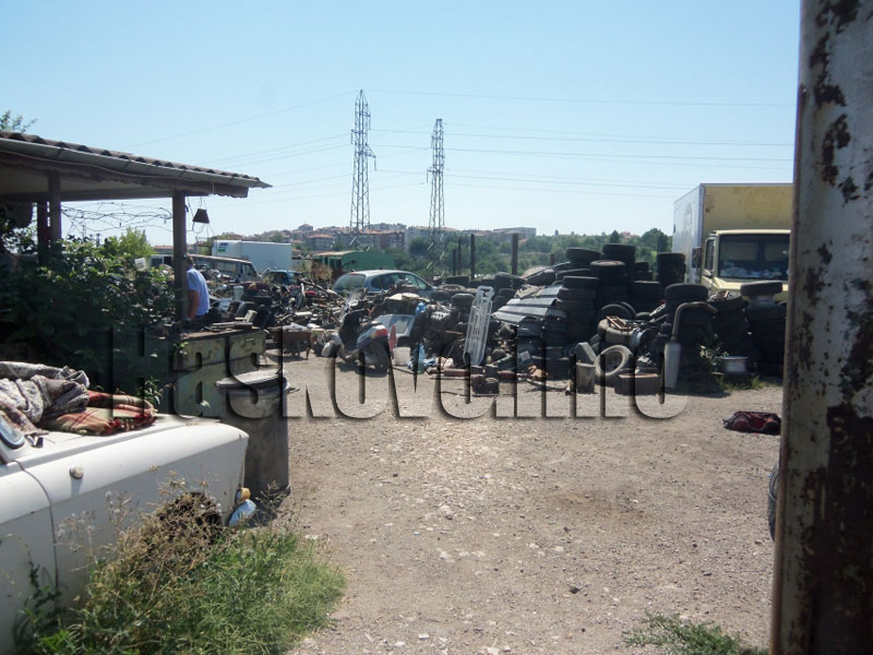 Автоморгата Автоморгата