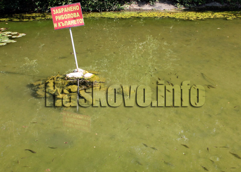 Паркът Паркът