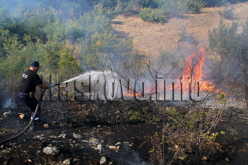 пожара пожара