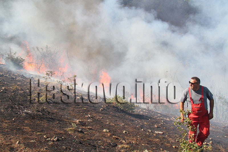 пожара пожара