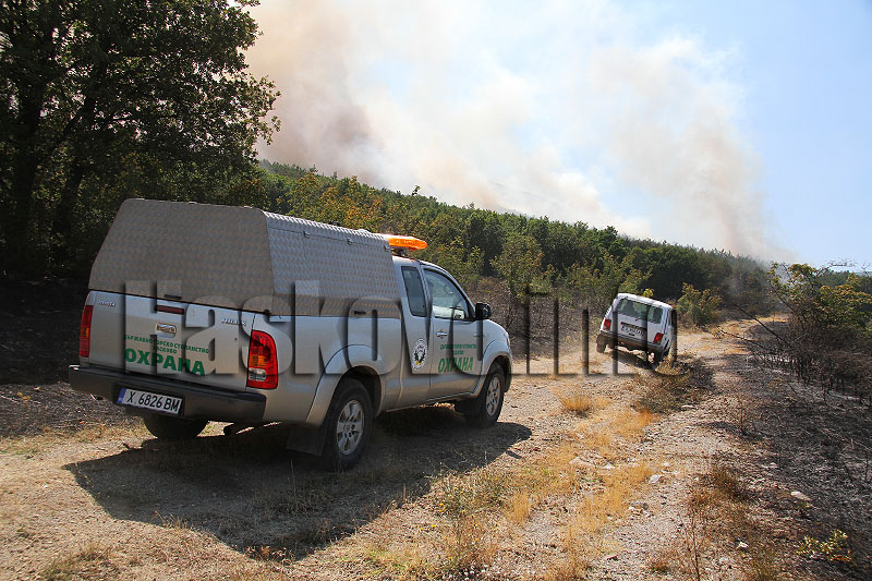 пожара пожара