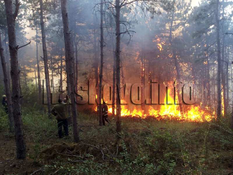 Пожарът