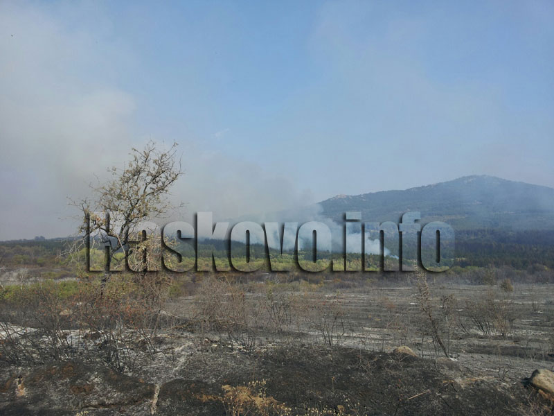 Пожарът Пожарът