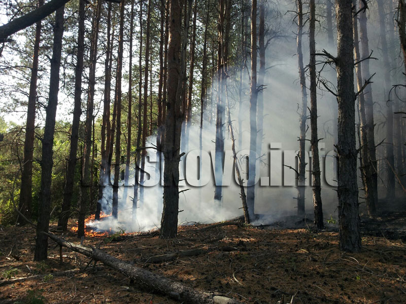 Пожарът Пожарът