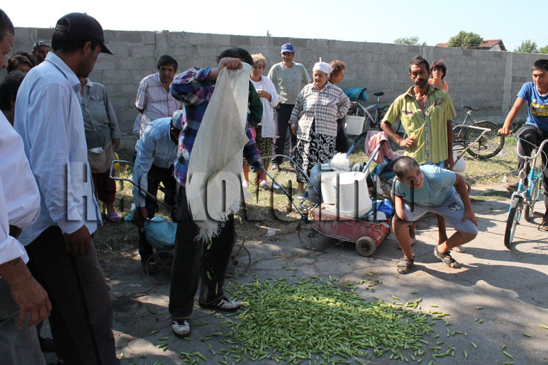 Протестът Протестът