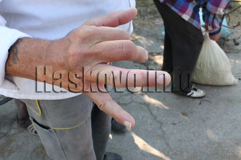 Протестът Протестът