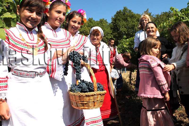 Гроздобер Гроздобер