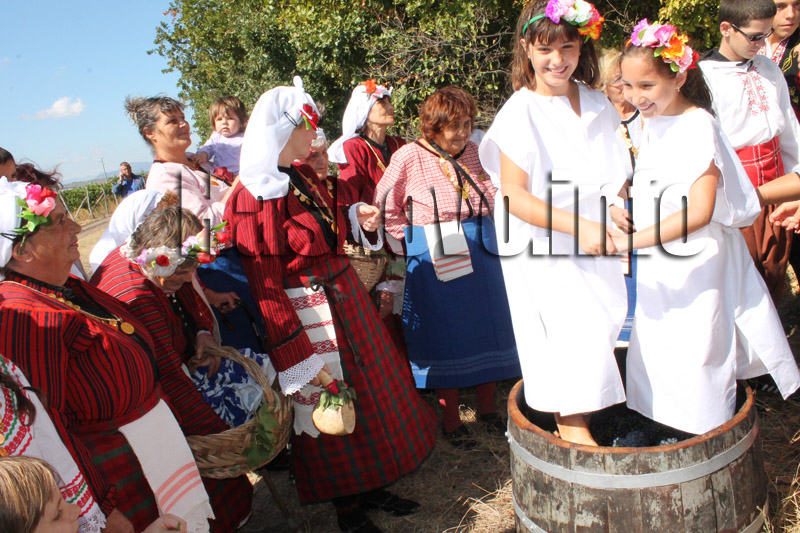 Гроздобер Гроздобер