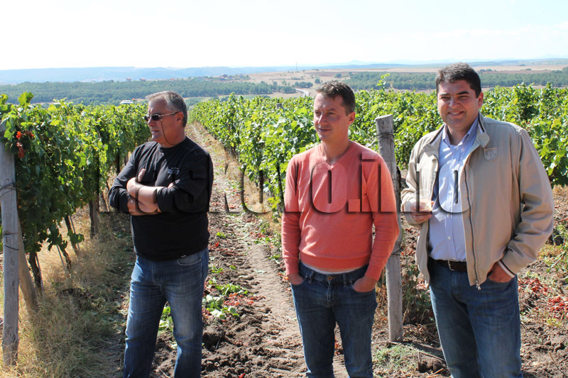 Гроздобер Гроздобер