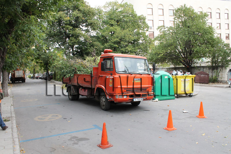 Санитарна сеч Санитарна сеч