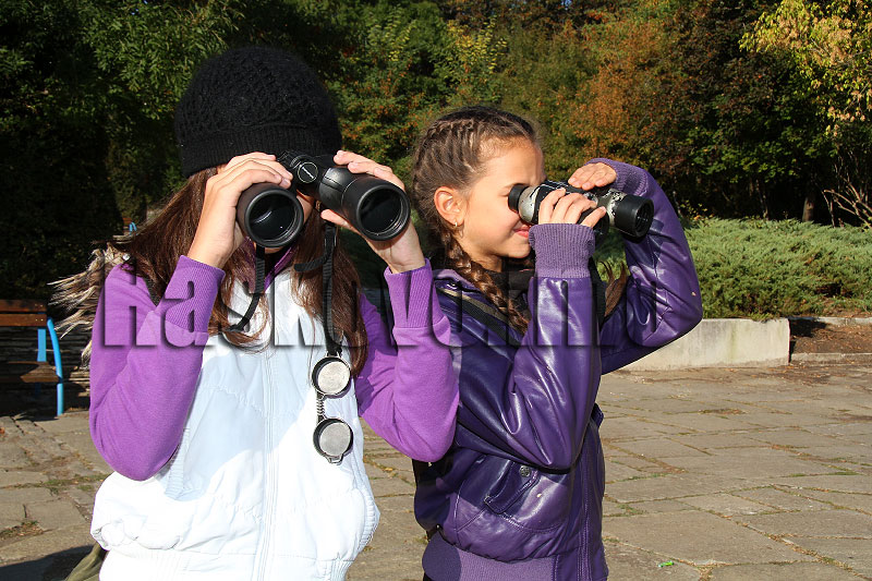 Наблюдението на птиците