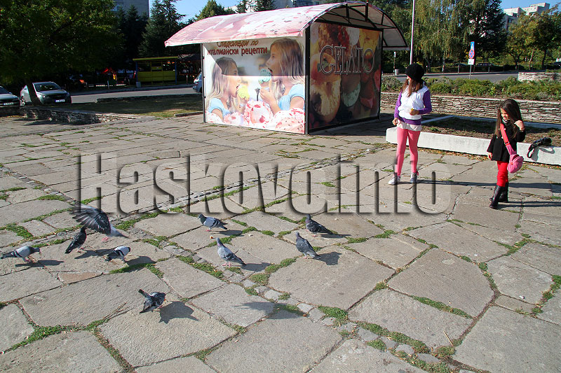 Наблюдението на птиците Наблюдението на птиците