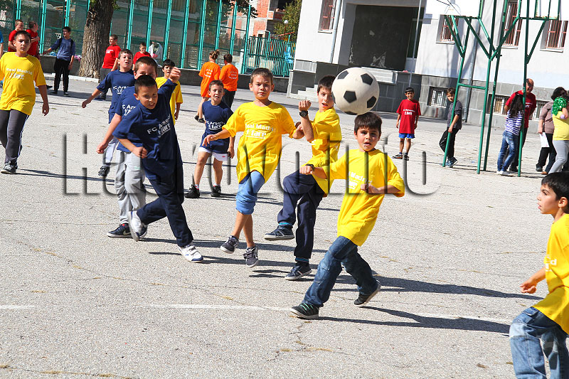 Лигата Лигата