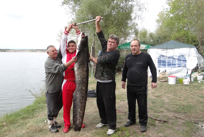 Сомове