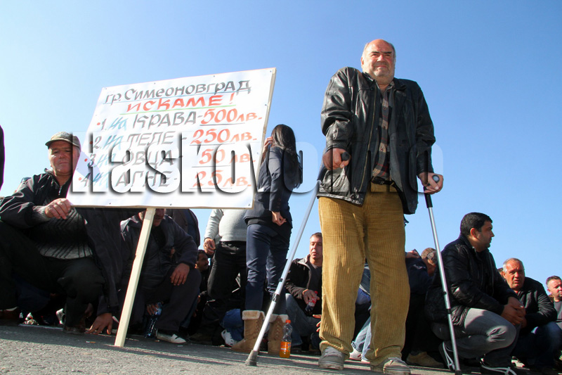 Протест
