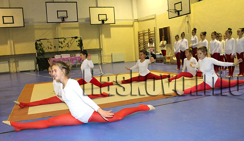 Художествена гимнастика