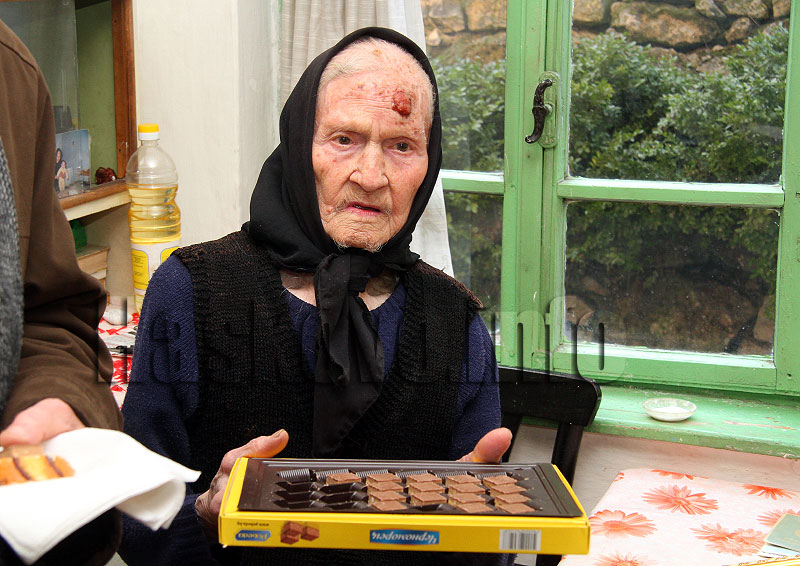 Столетница