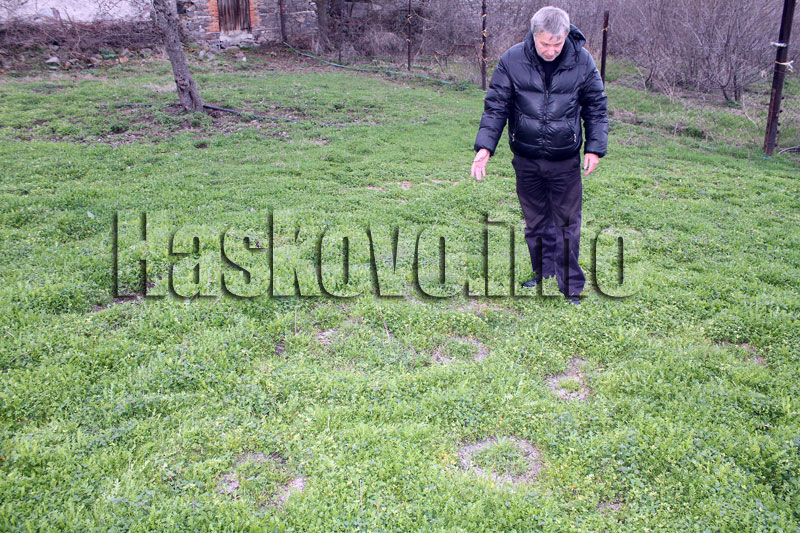 Кръговете Кръговете