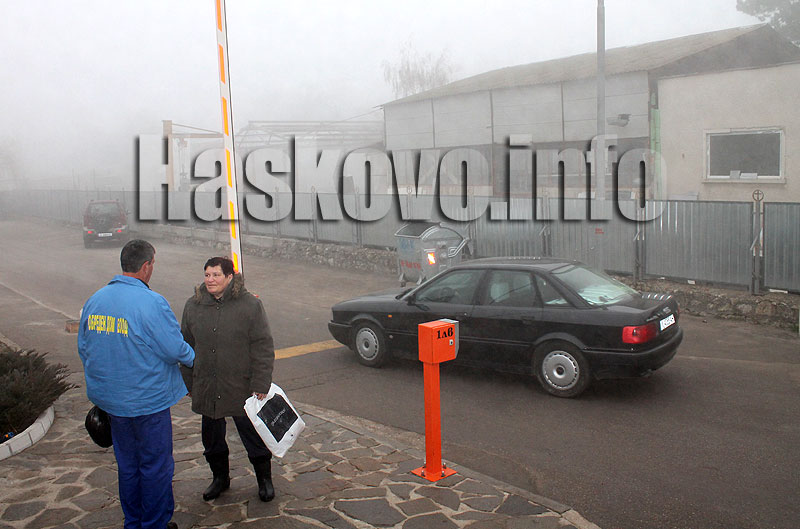 Задушница