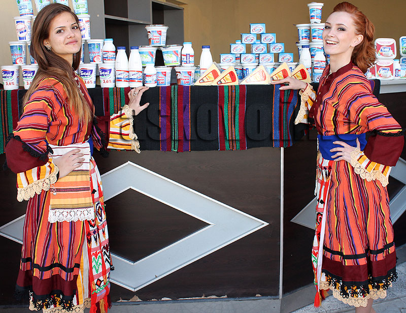 Фестивал Фестивал