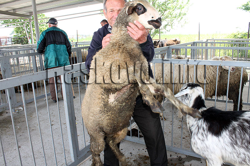 Пазар Пазар