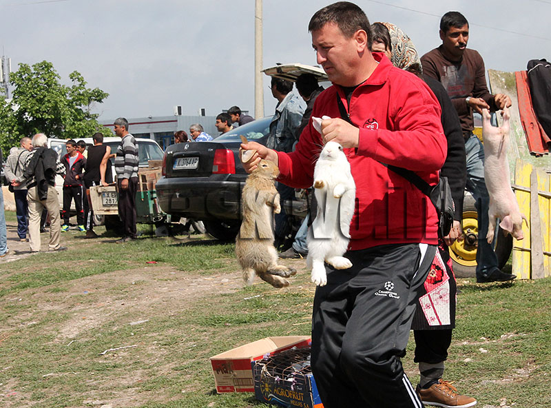 Пазар Пазар