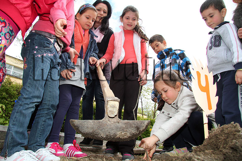 Фиданки Фиданки