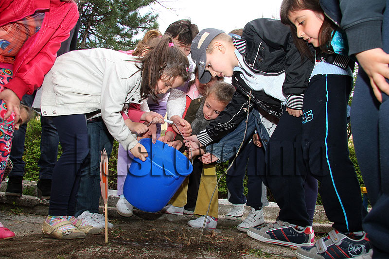 Фиданки Фиданки